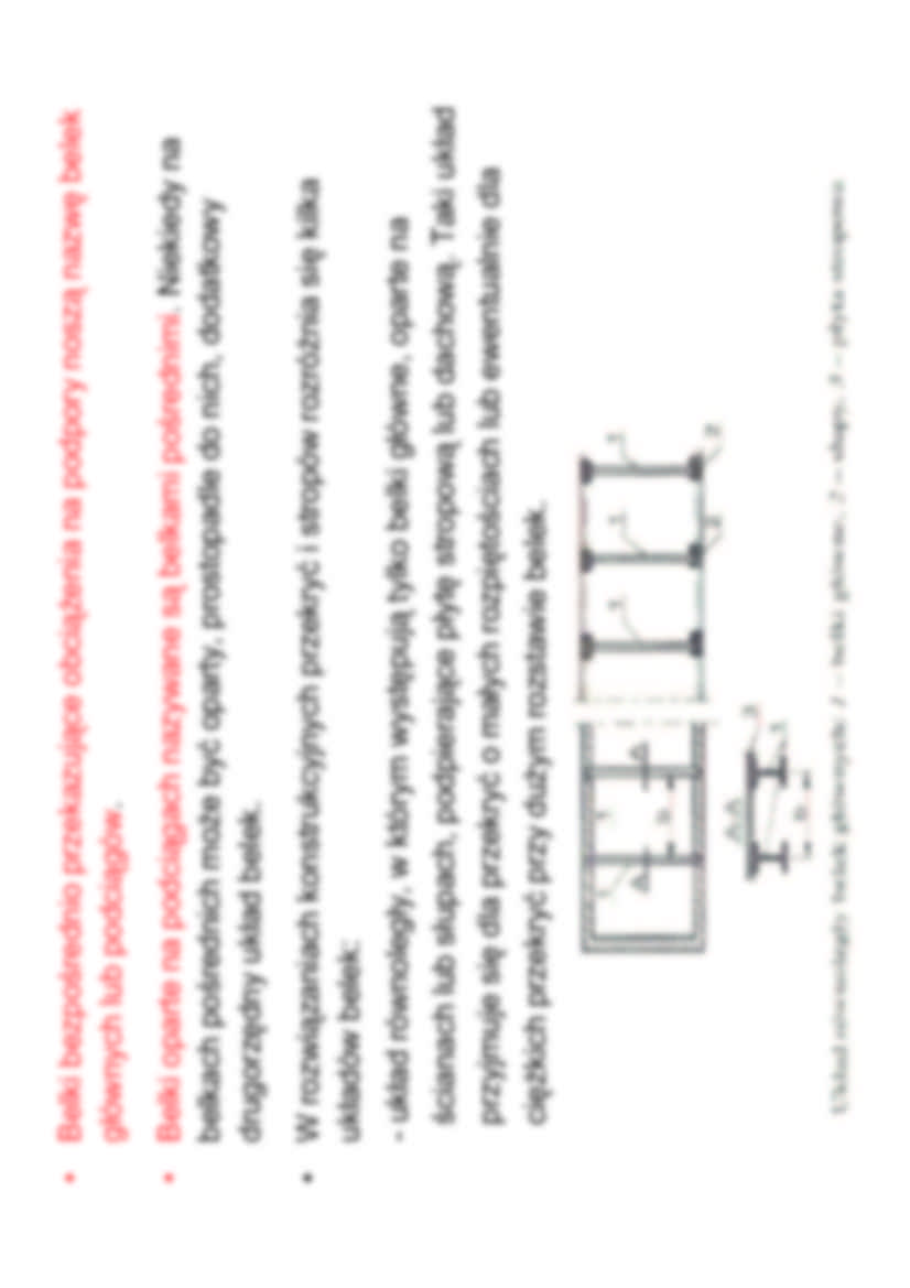 BELKI - INFORMACJE PODSTAWOWE - strona 2