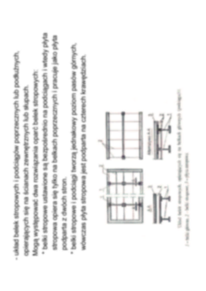 BELKI - INFORMACJE PODSTAWOWE - strona 3