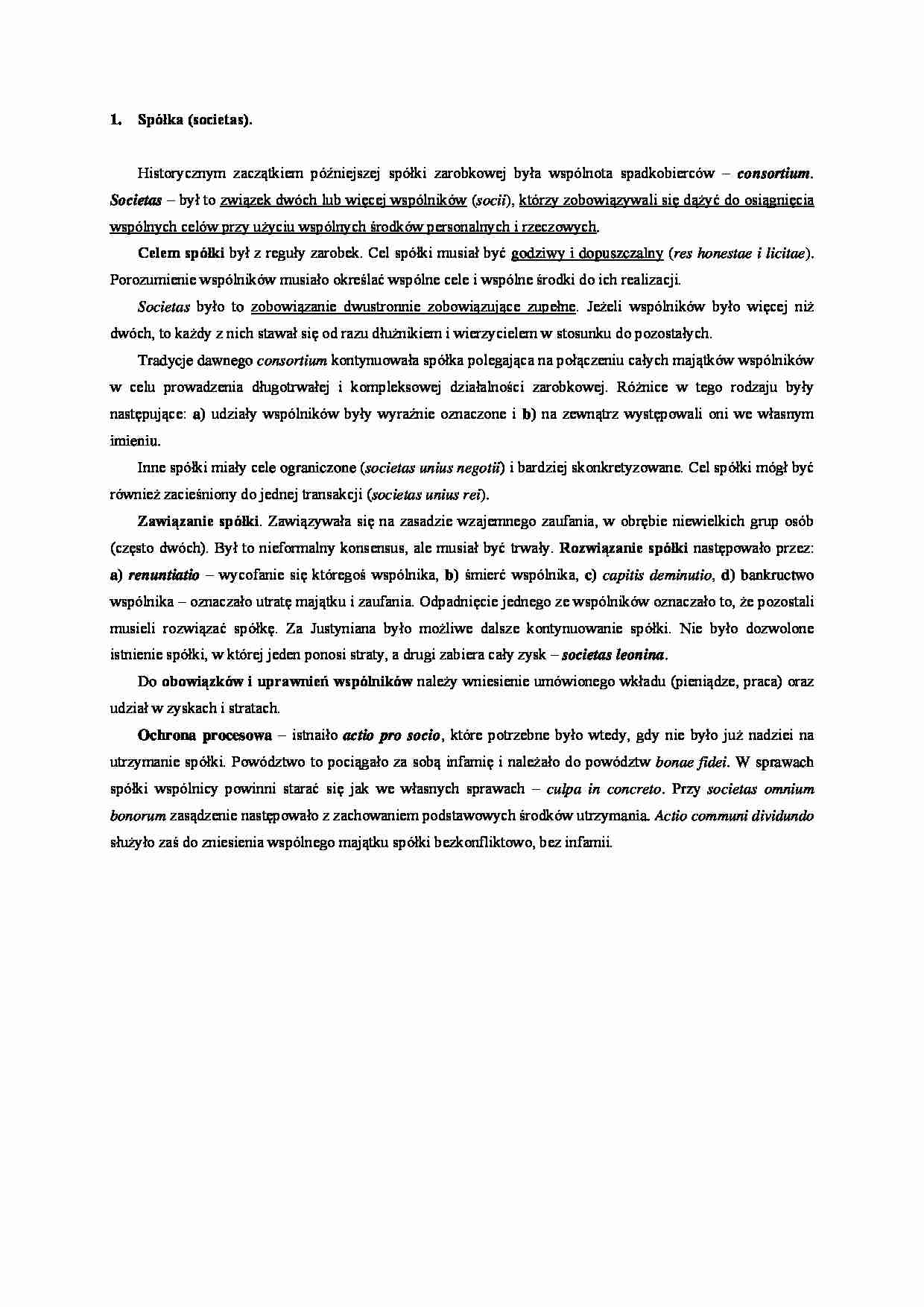 Spółka- opracowanie - strona 1