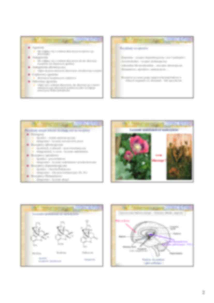 Leki działające na receptory - wykład - strona 2