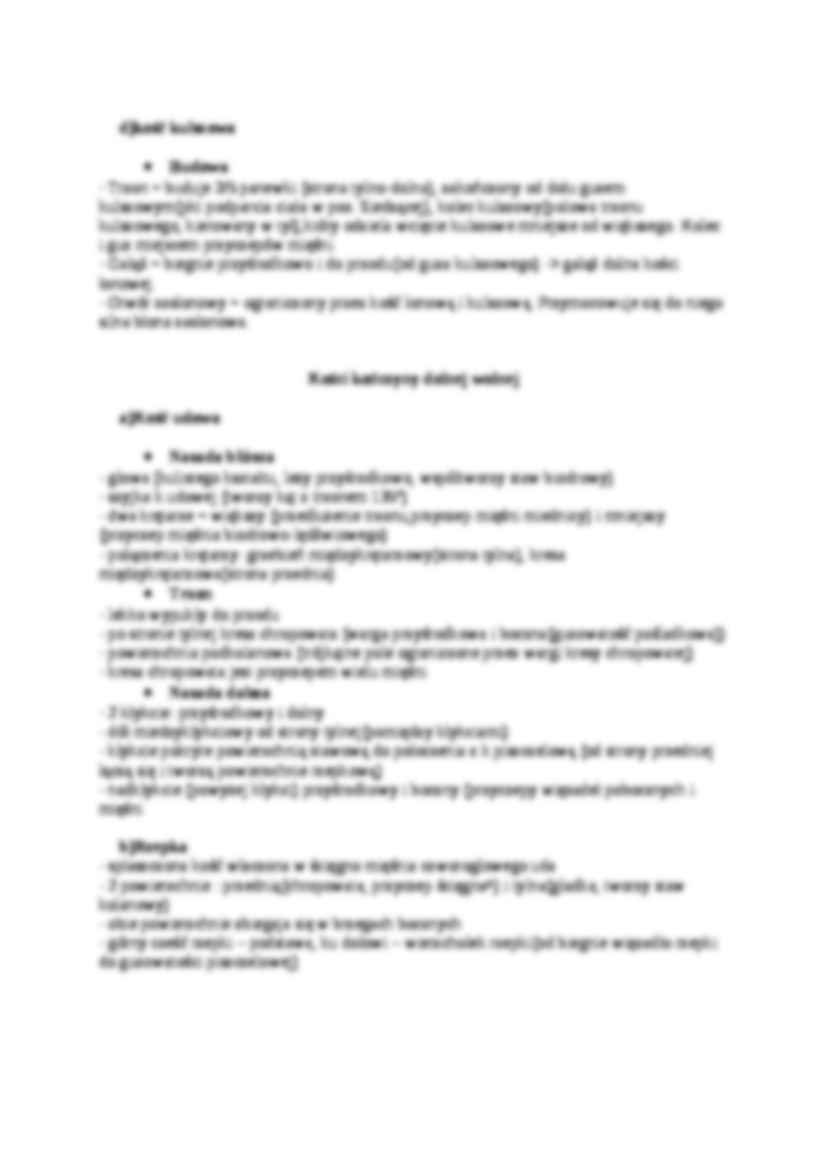 Anatomia Kolokwium 3 - strona 2