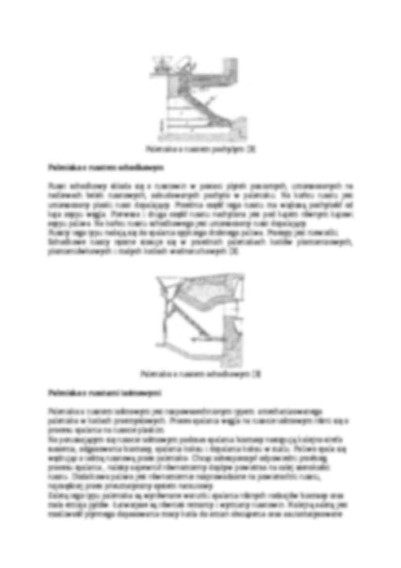 Paleniska rusztowe-opracowanie - strona 2