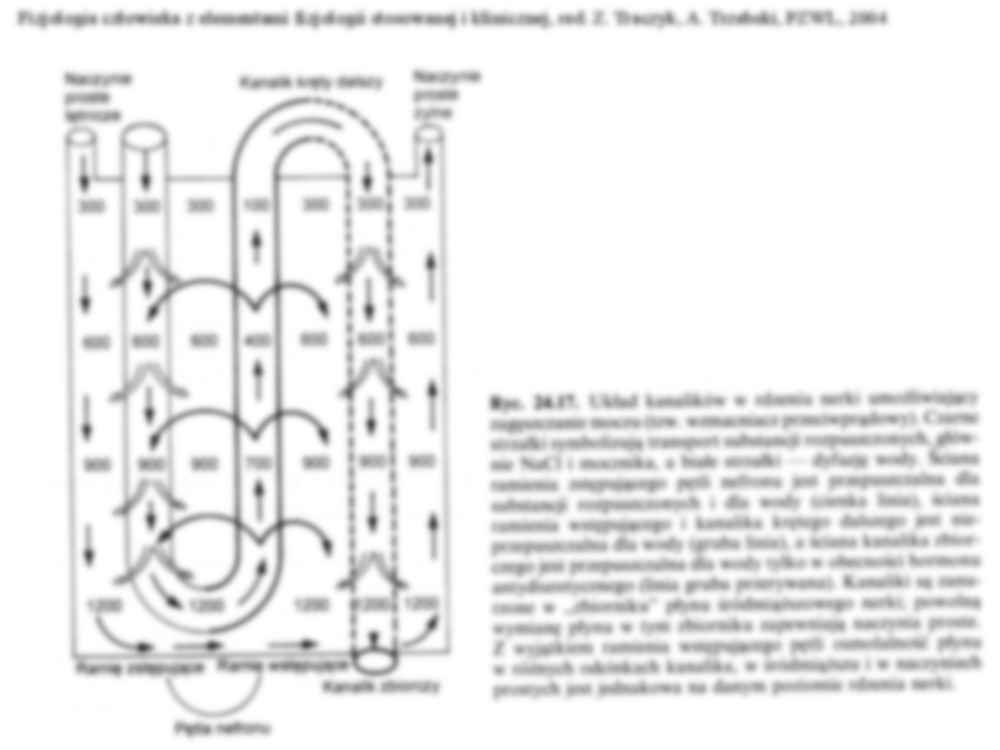 Fizjologia człowieka - wykład - strona 2