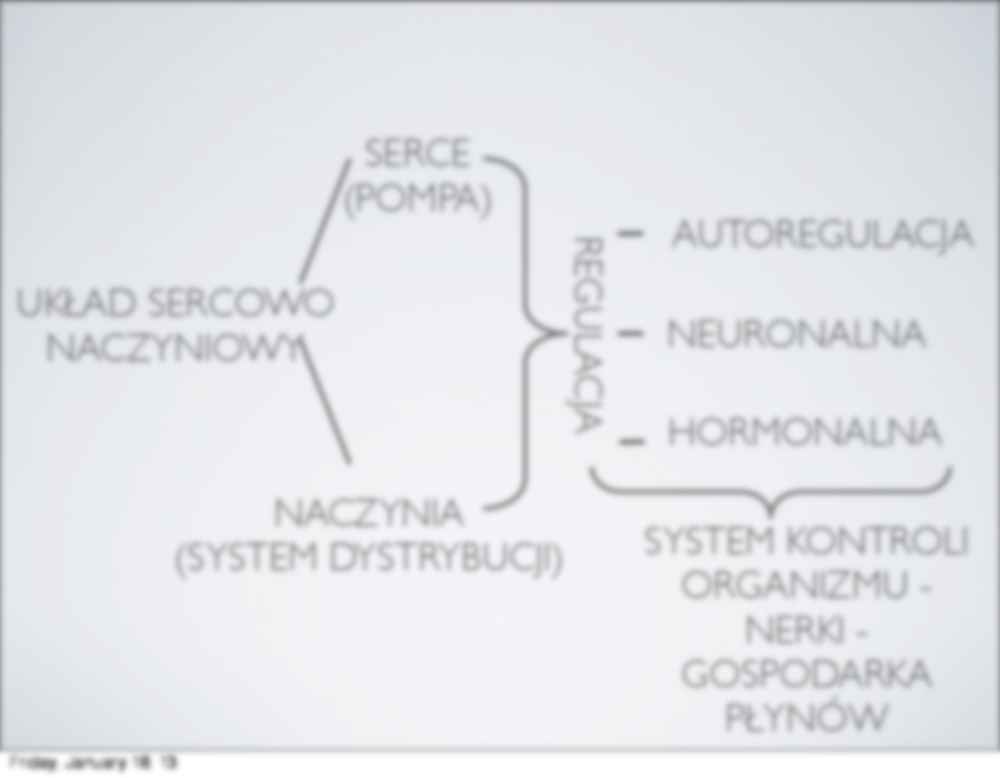 Układ sercowo-naczyniowy - wykład - strona 2