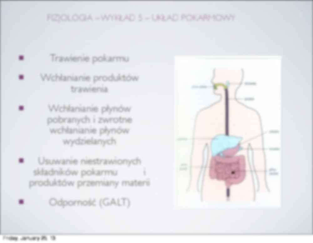 Układ pokarmowy - wykład - strona 2