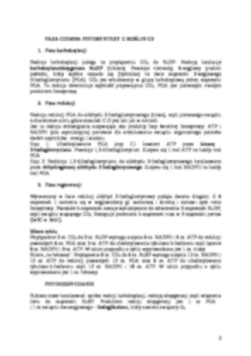  Fotosynteza - omówienie - strona 2