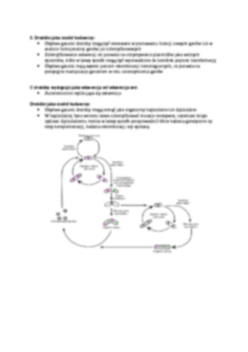 Genetyka grzybów, Drożdże - omówienie - strona 2