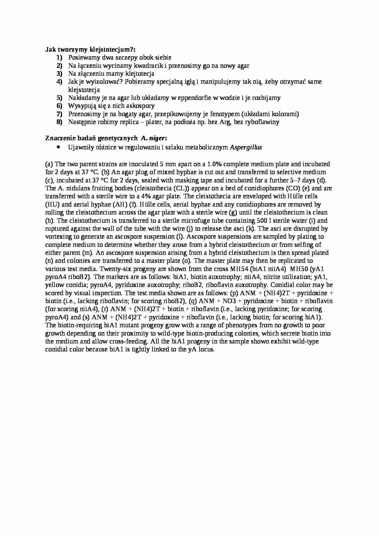  Jak tworzymy klejstotecjum - omówienie - strona 1