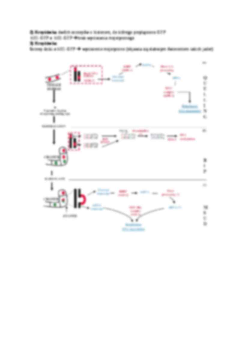 Metylacja u N. Crasa - omówienie - strona 3