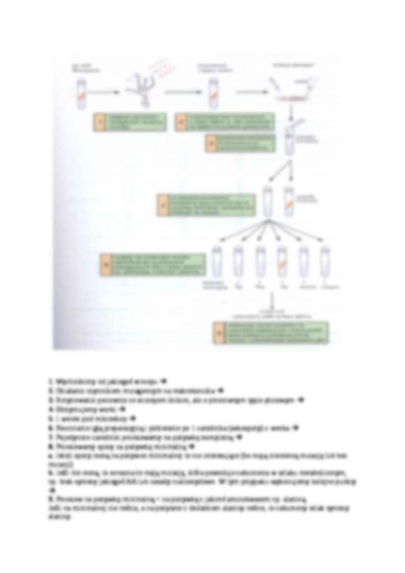 Genetyka grzybów, Mutagenizacja gatunku - omówienie - strona 2