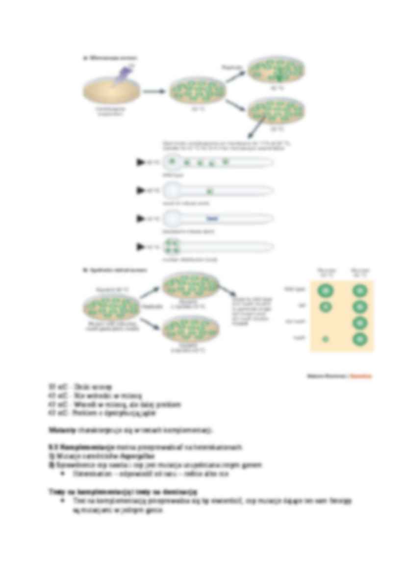 Genetyka grzybów, Mutanty - omówienie - strona 2