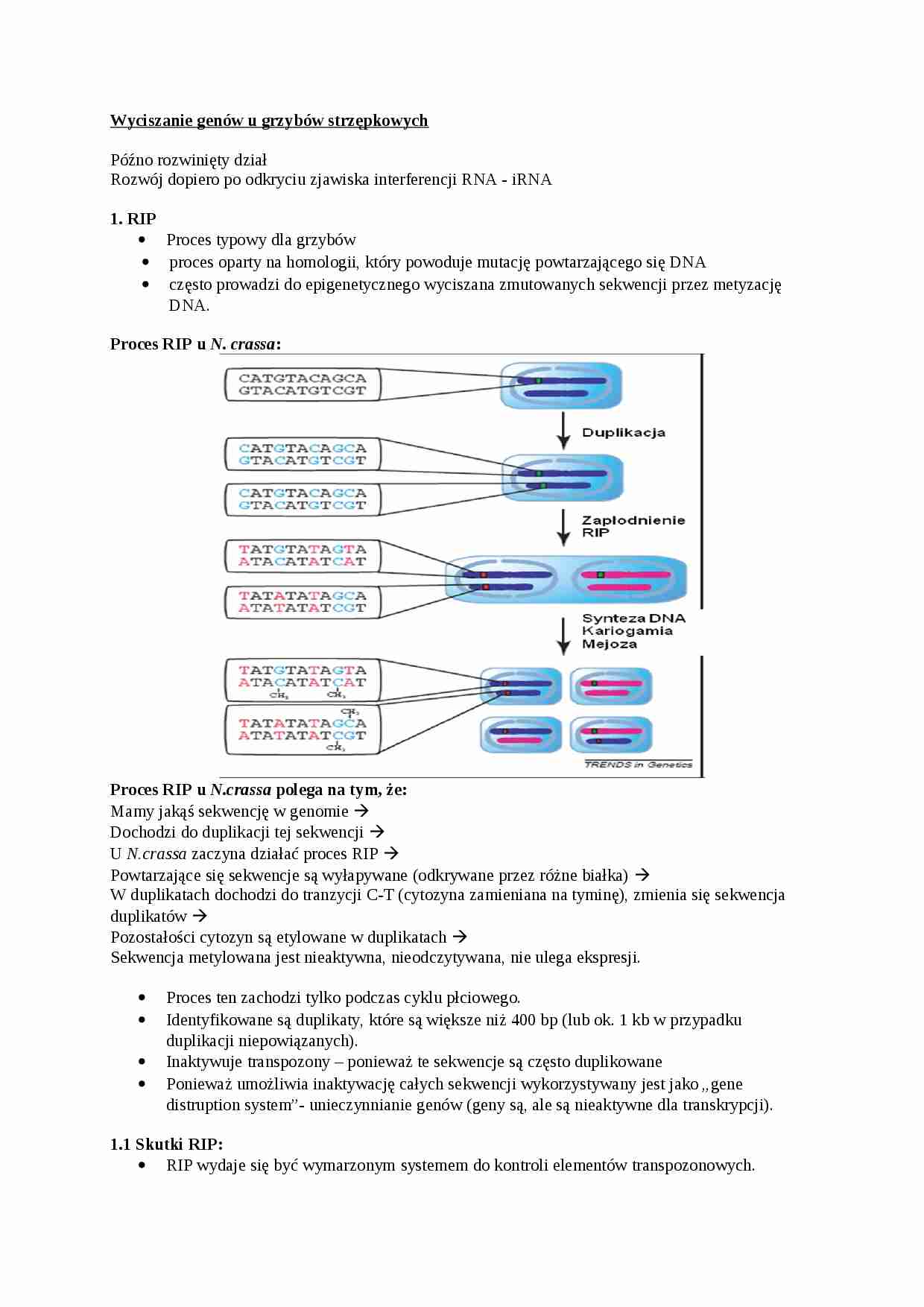Genetyka grzybów, Wyciszanie genów u grzybów strzępkowych - omówienie - strona 1