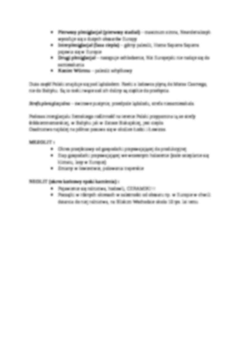 Podział wewnętrzny Epoki Kamienia - omówienie - strona 3