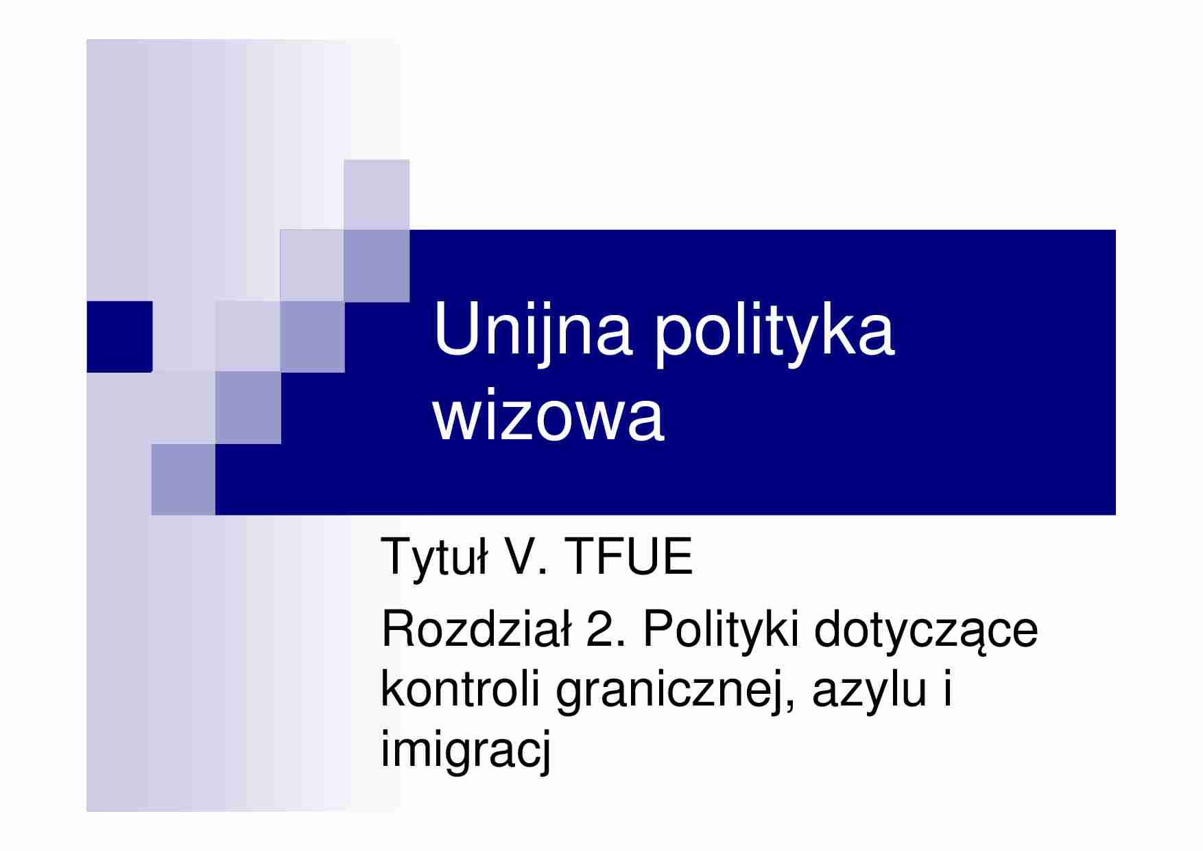 polityka wizowa - strona 1