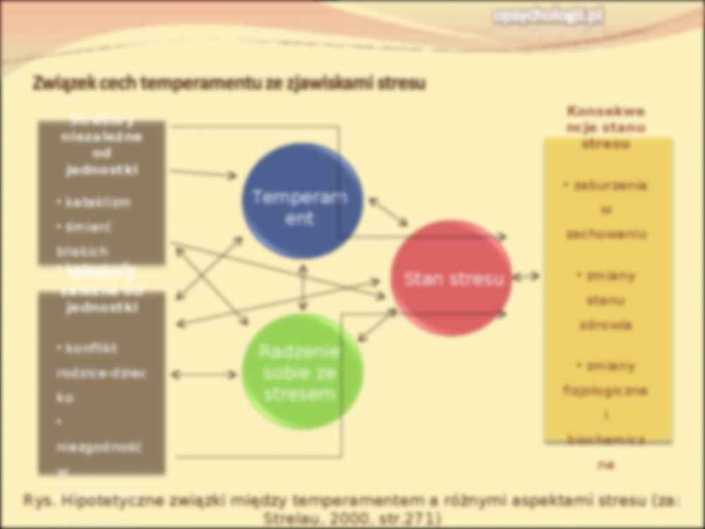 Prezentacja - Związek cech temperamentu ze zjawiskami stresu - strona 3