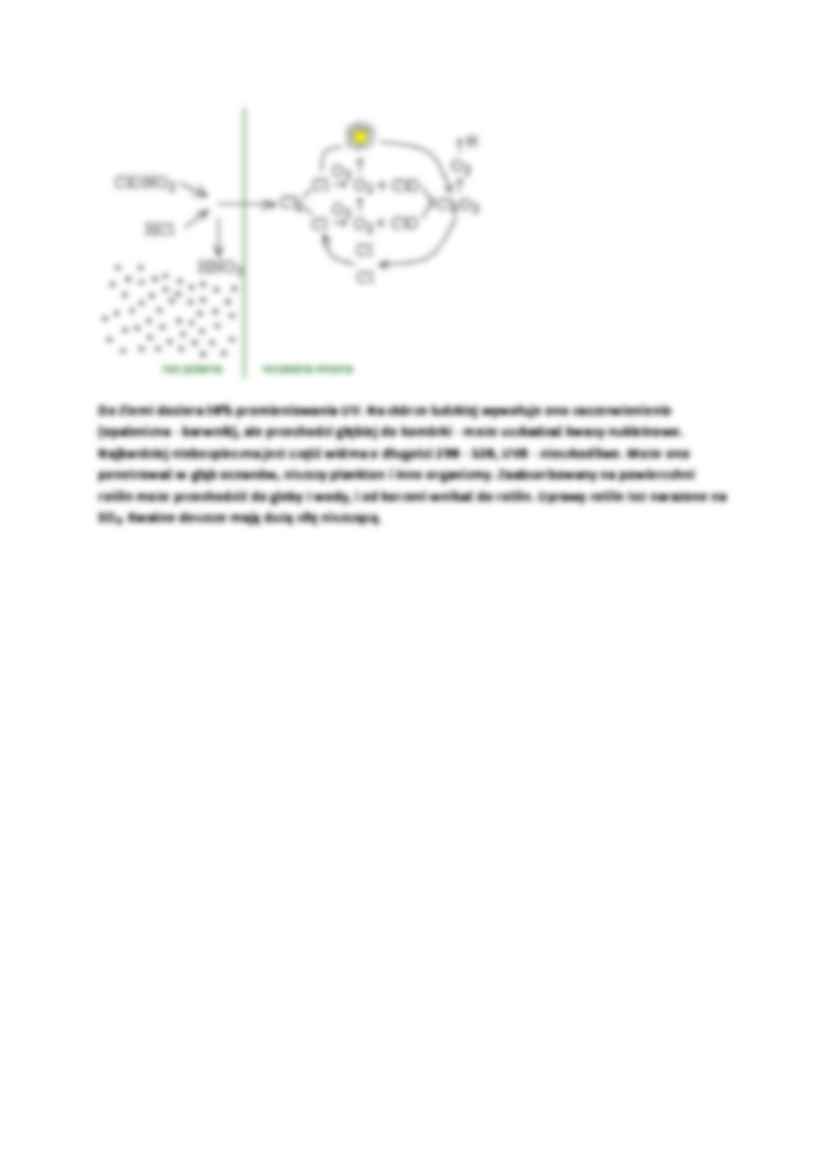 Insektycydy-opracowanie - strona 3