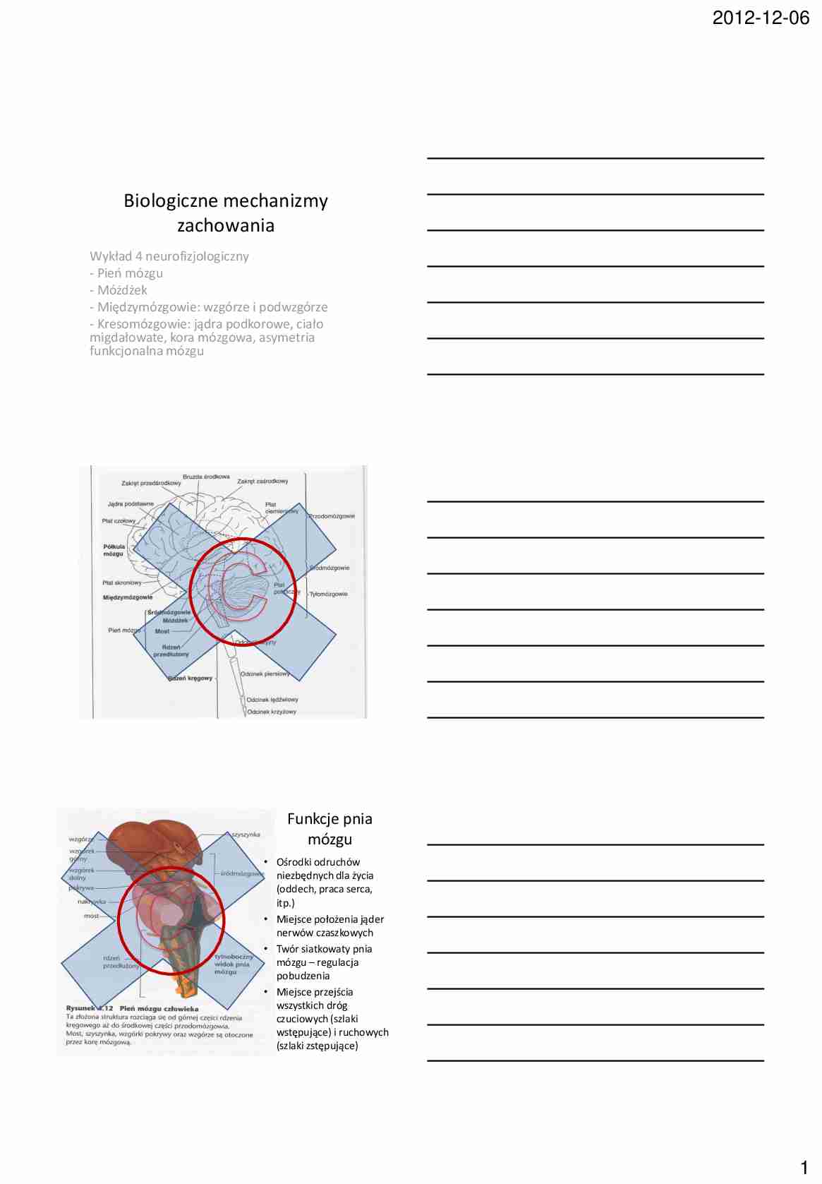 Biologiczne mechanizmy zachowania - omówienie - strona 1