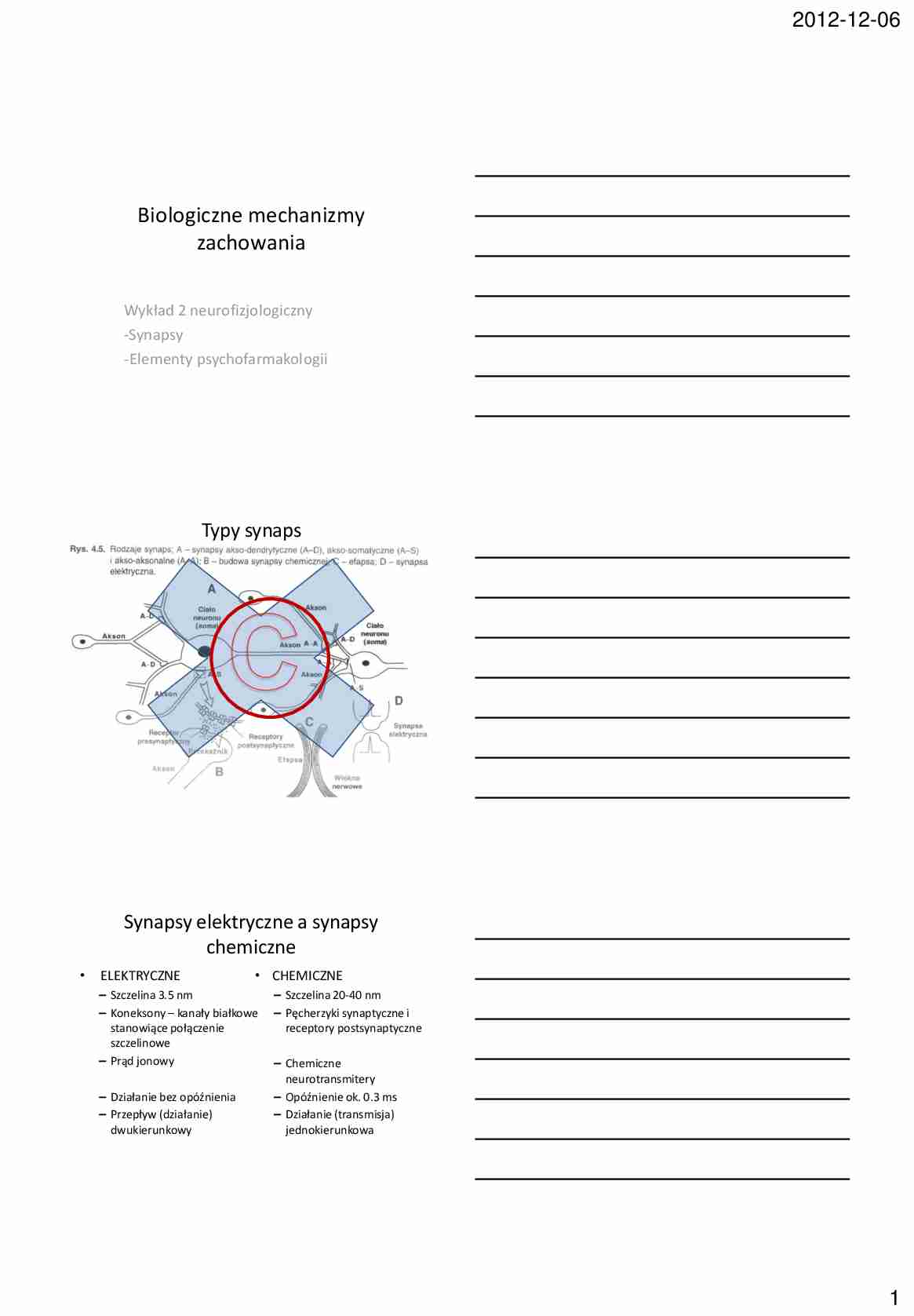 Biologiczne mechanizmy zachowania - omówienie - synapsy - strona 1