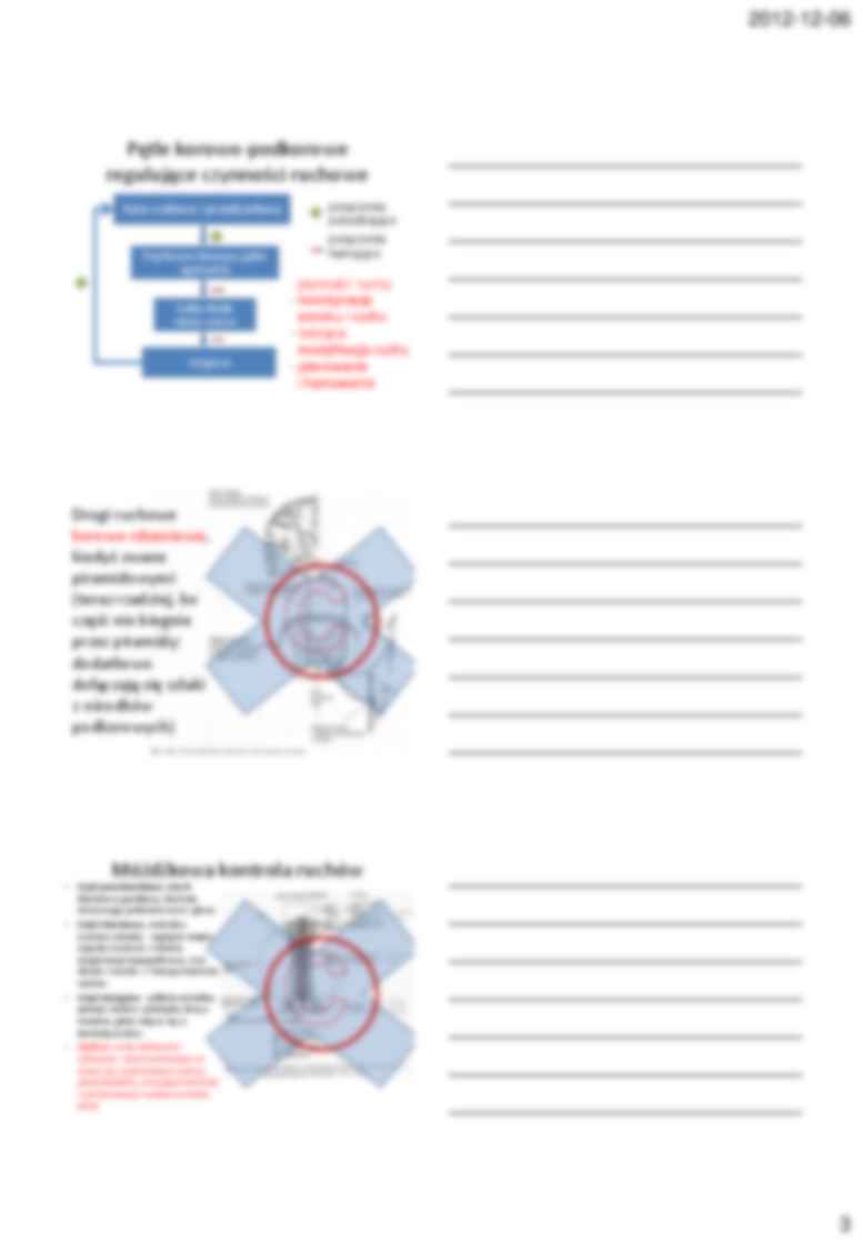 Biologiczne podstawy zachowania  neurofizjologiczny - Wykład 6 - strona 3