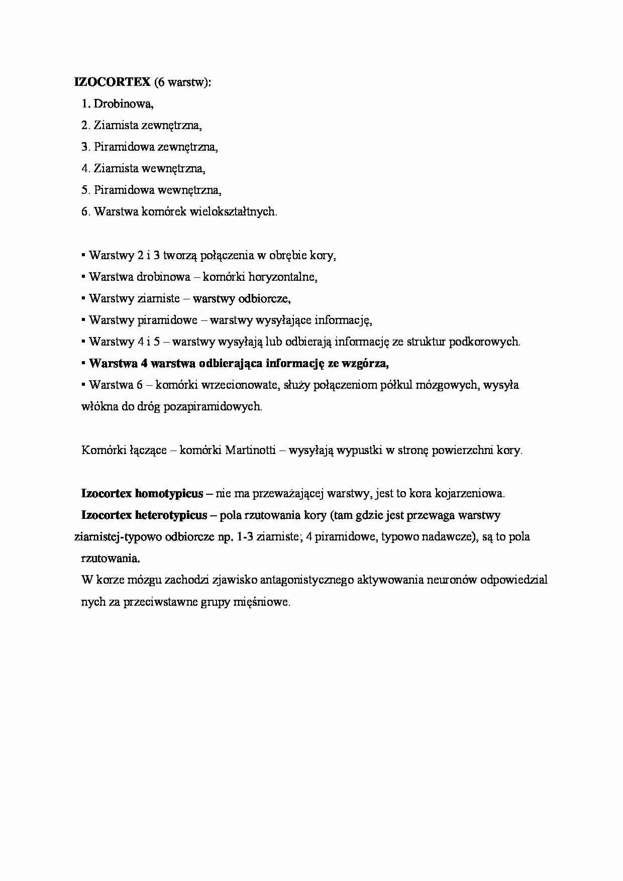 izocortex - omówienie - strona 1