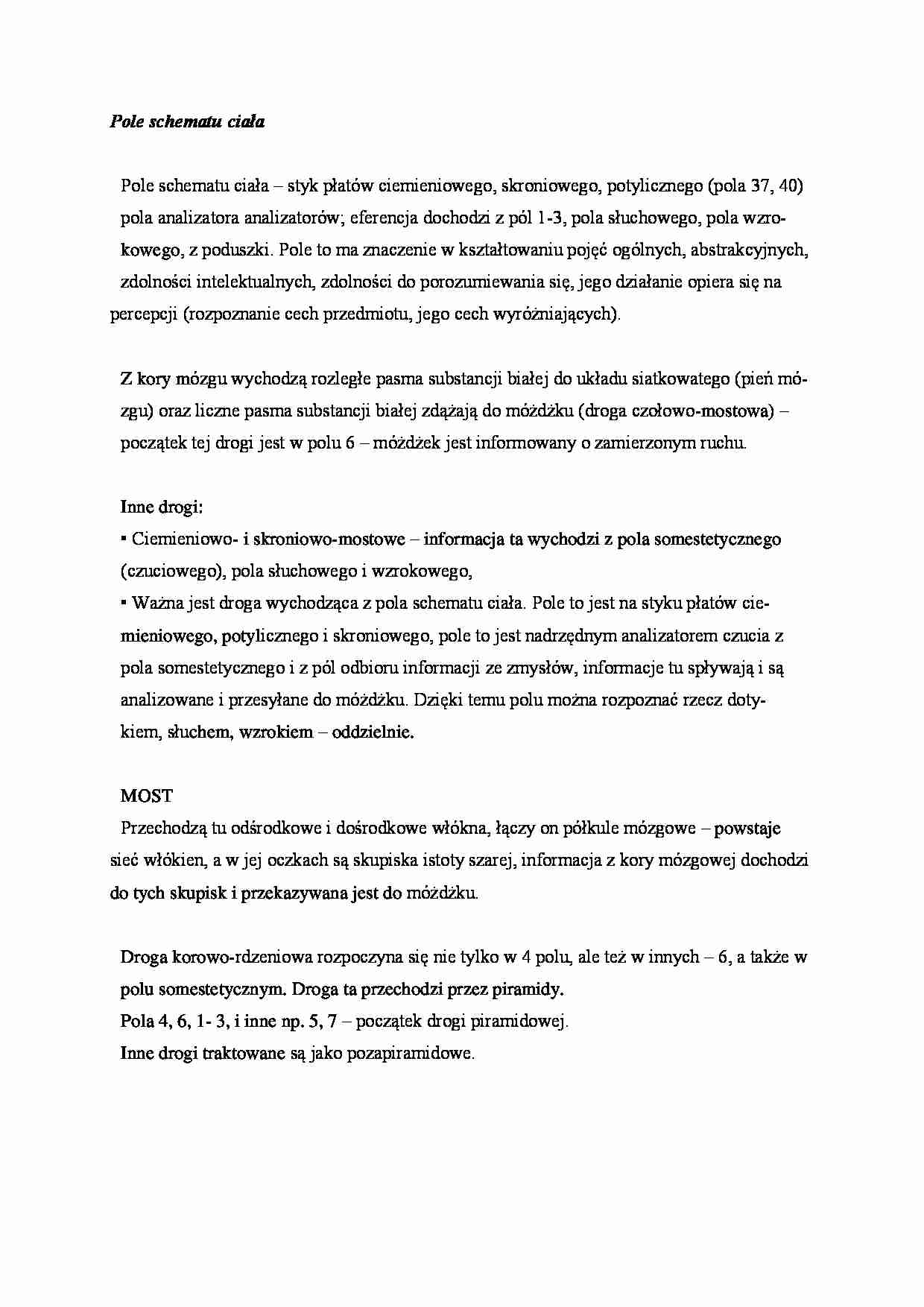 Pole schematu ciała - omówienie - strona 1