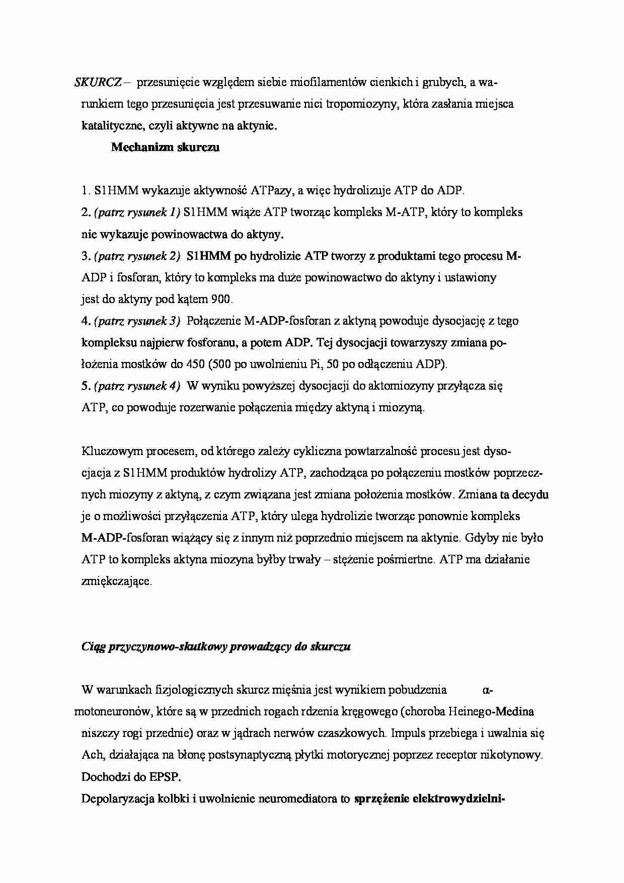 Skurcz - omówienie - strona 1