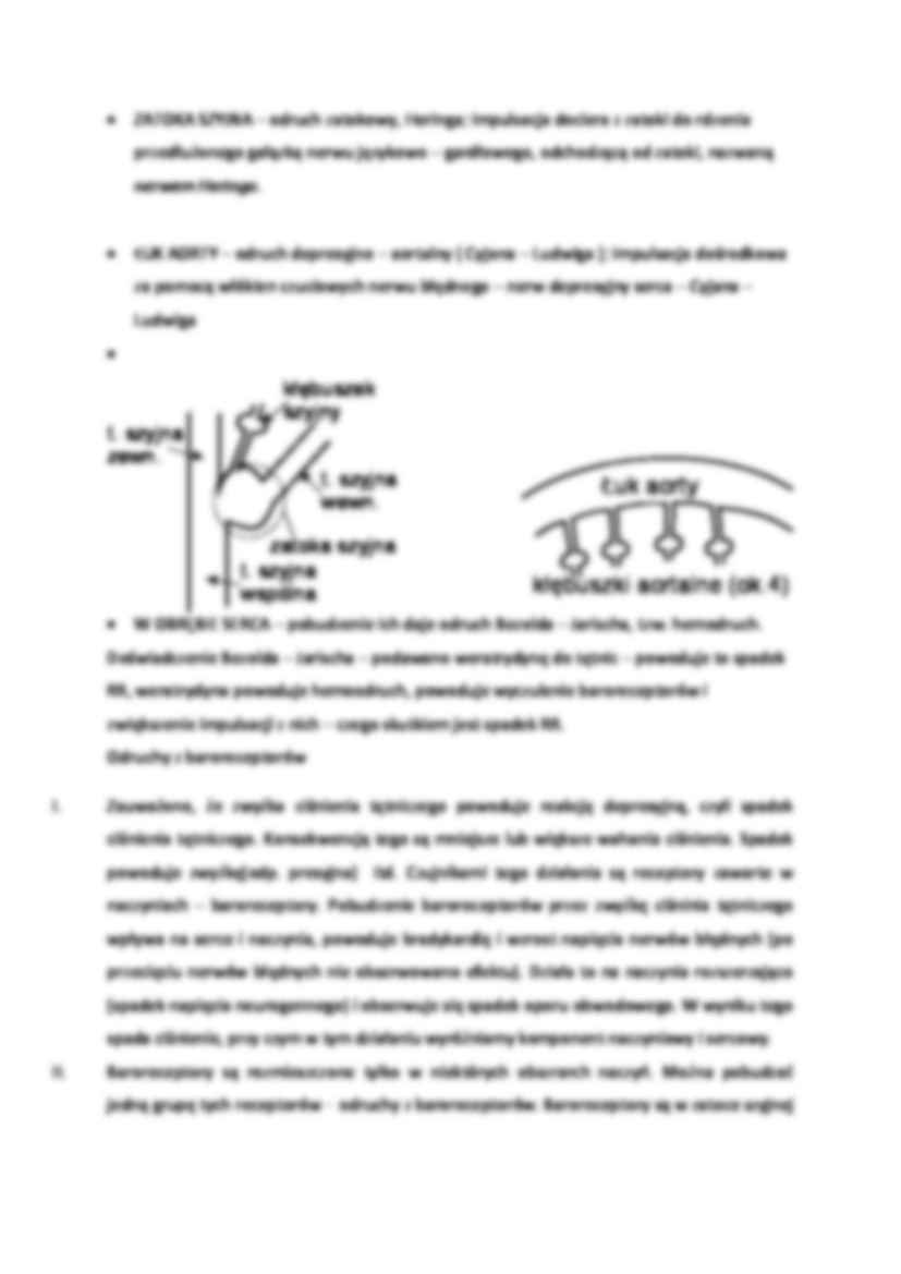 Baroreceptory - naczynia krwionośne -  omówienie - strona 2