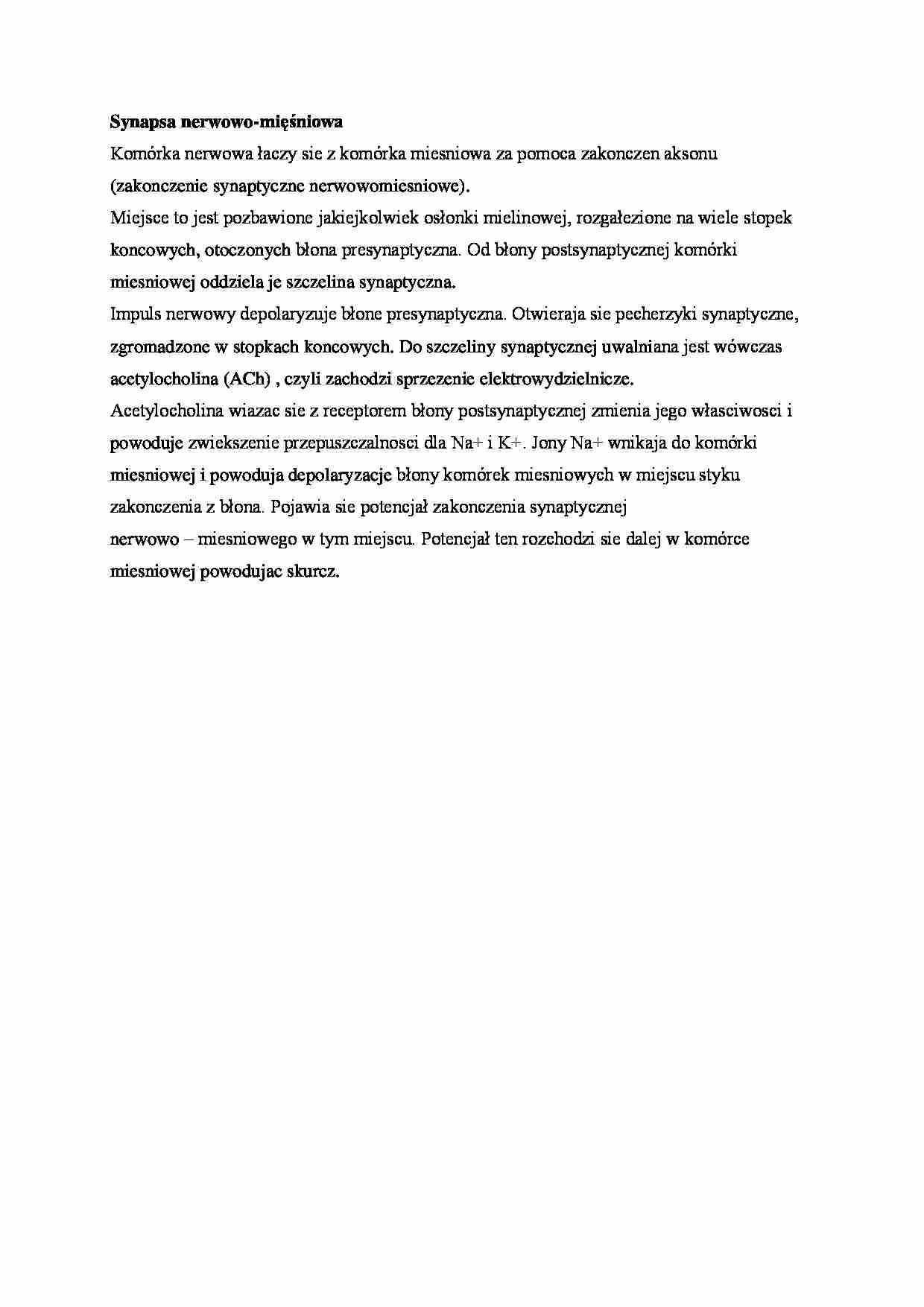 Synapsa nerwowo-mięśniowa - omówienie - strona 1