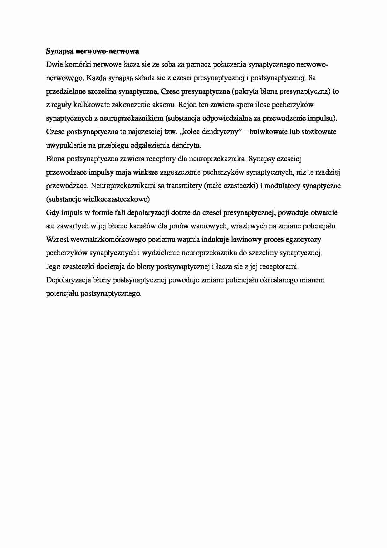 Synapsa nerwowo-nerwowa - omówienie - strona 1