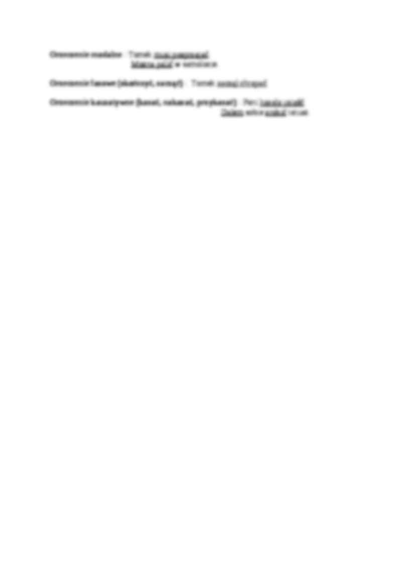 Podmiot i orzeczenie - wykład - strona 3