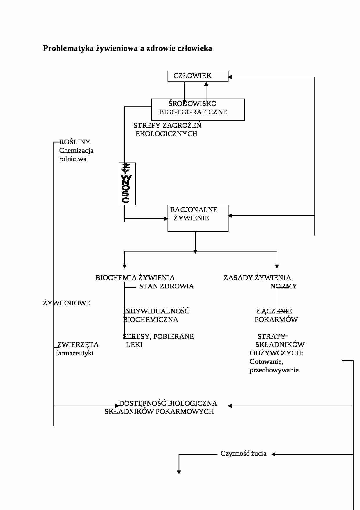 Wykład - Problematyka żywieniowa a zdrowie człowieka - strona 1