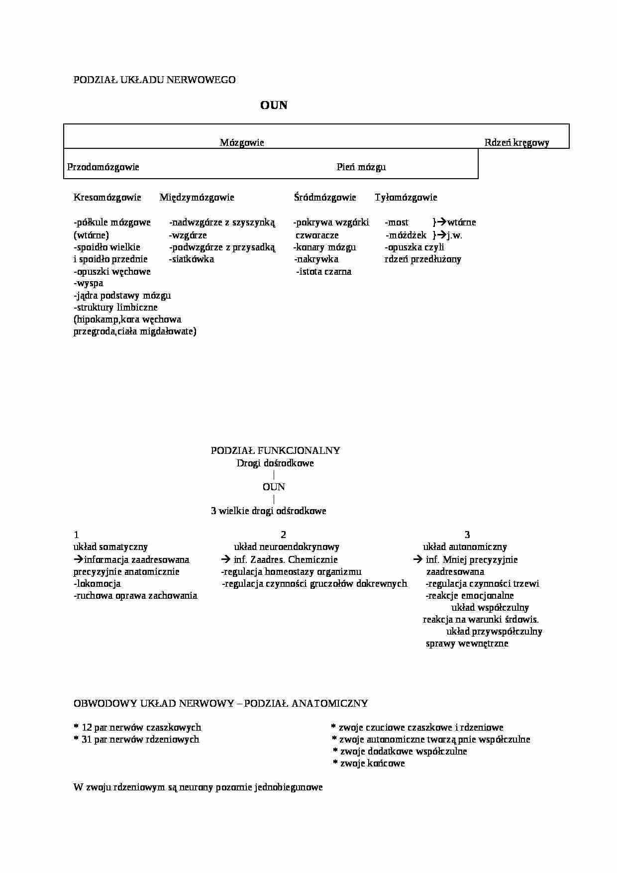 Podział układu nerwowego-opracowanie - strona 1