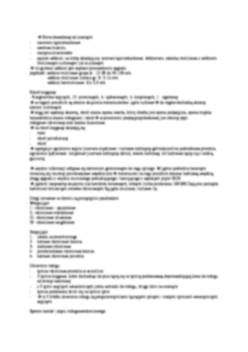 Podział układu nerwowego-opracowanie - strona 2