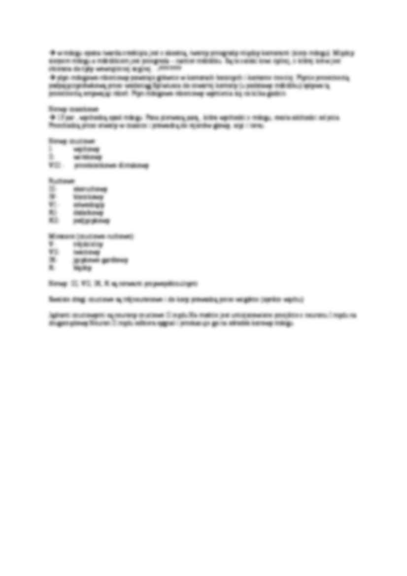 Podział układu nerwowego-opracowanie - strona 3