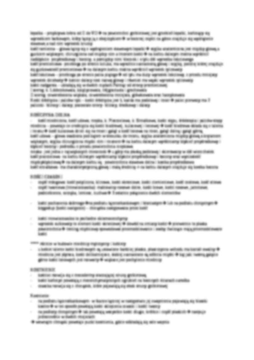 Tkanka łączna-opracowanie - strona 3