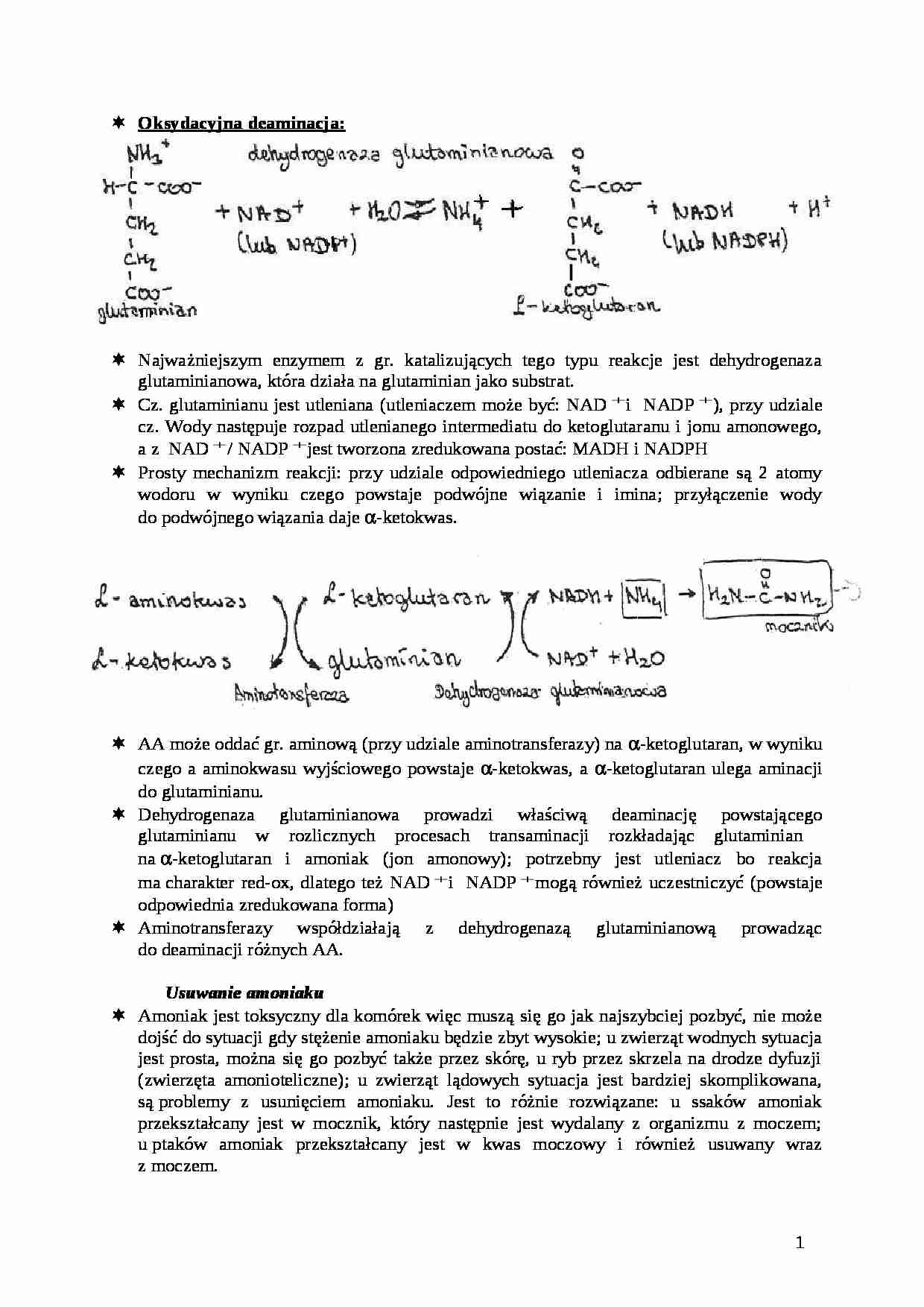 Oksydacyjna deaminacja-opracowanie - strona 1