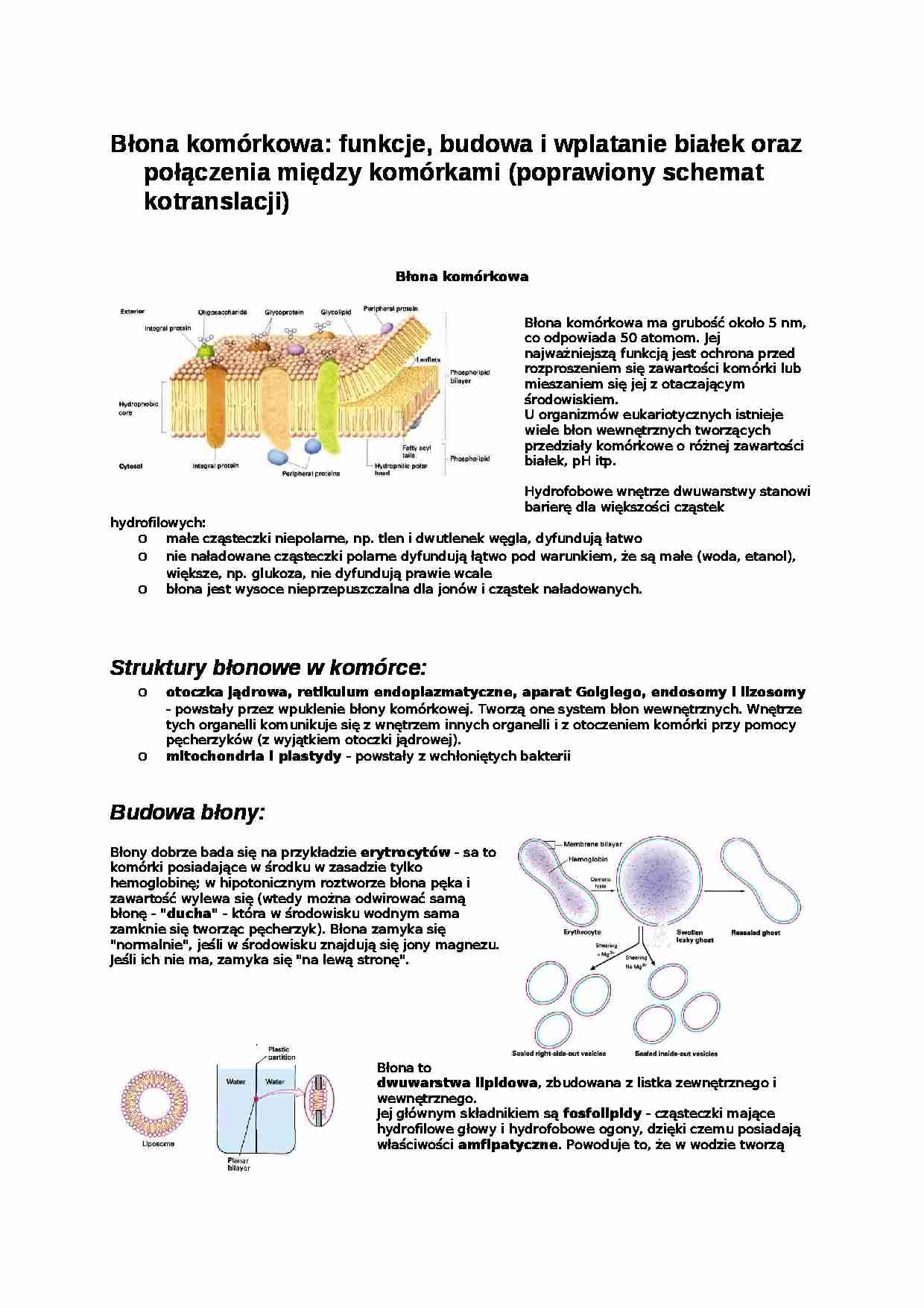 Błona komórkowa-opracowanie - strona 1