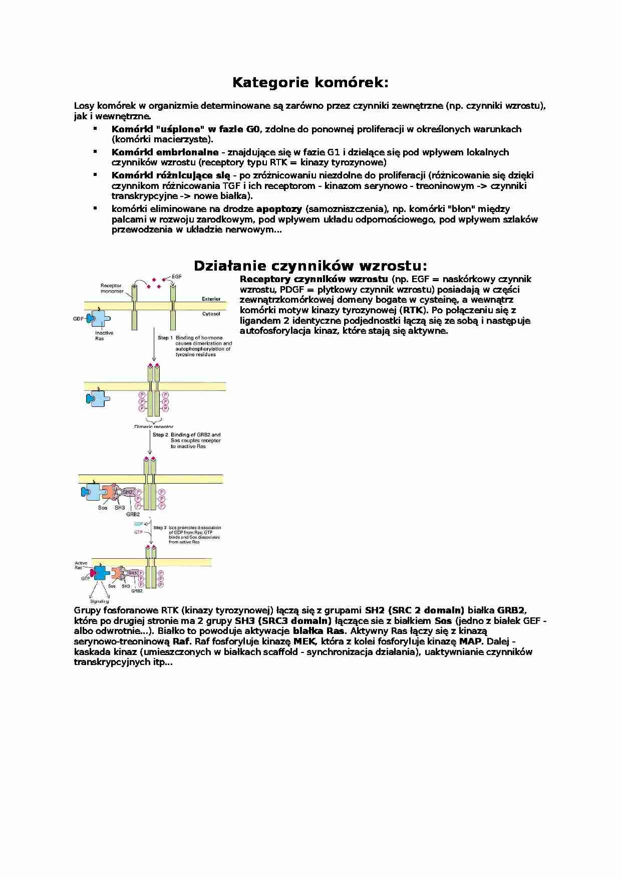 Kategorie komórek-opracowanie - strona 1