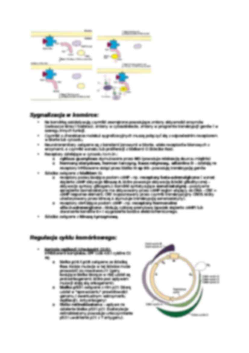 Kategorie komórek-opracowanie - strona 2