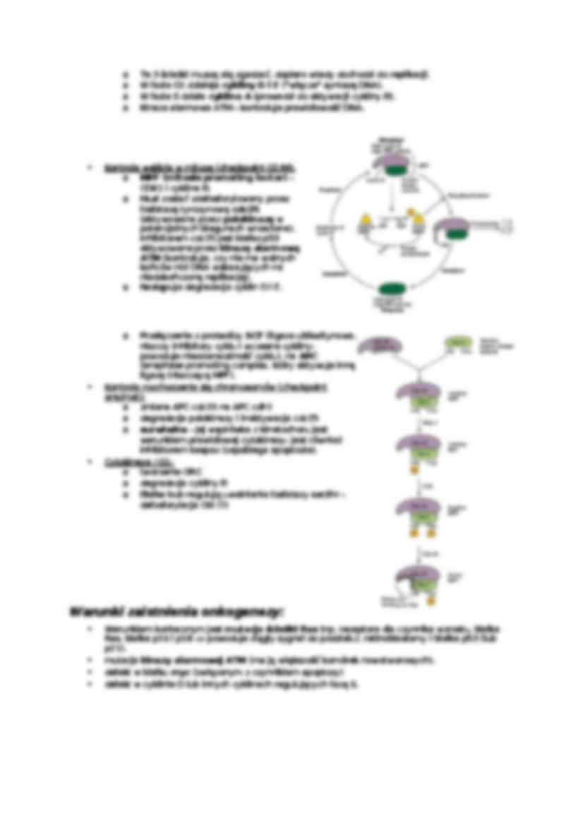 Kategorie komórek-opracowanie - strona 3