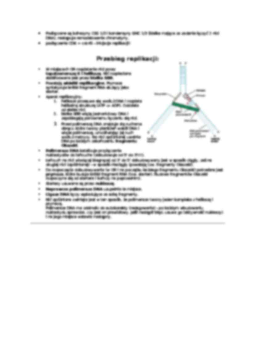 Replikacja-opracowanie - strona 2