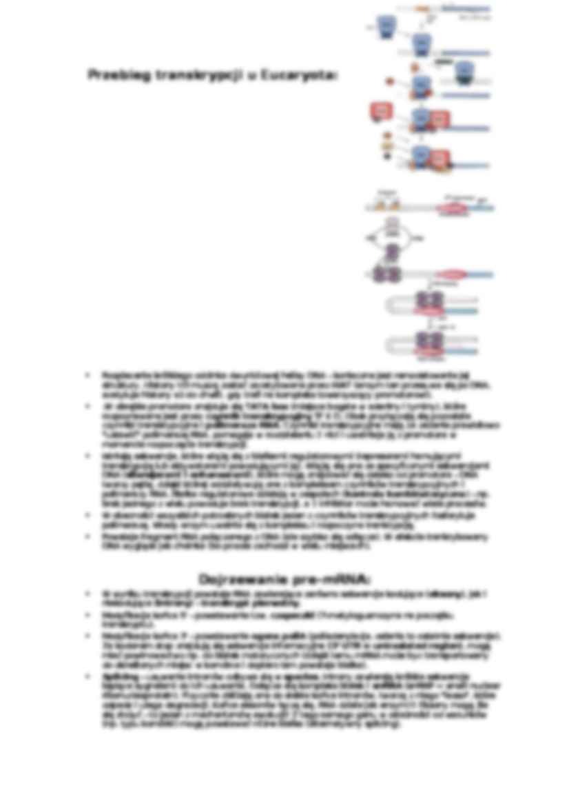 Transkrypcja-opracowanie - strona 2