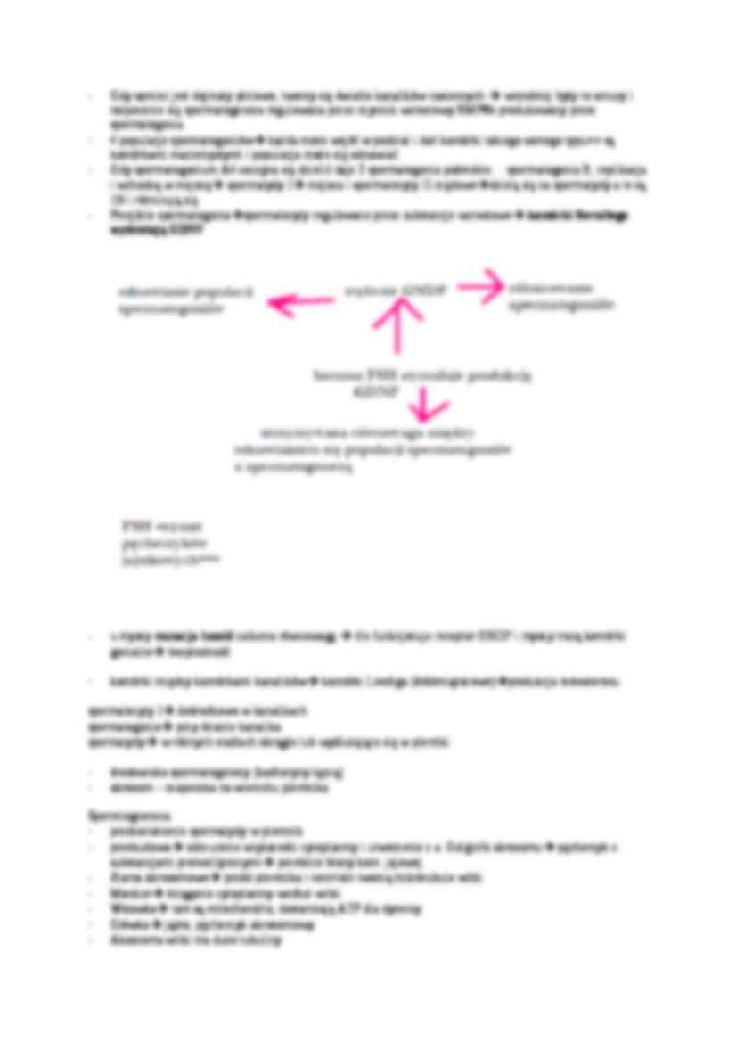 Gametogeneza-opracowanie - strona 2