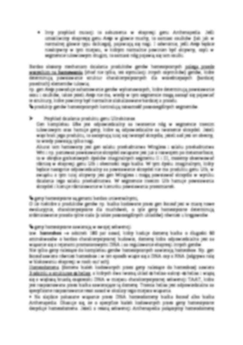 Geny homeotyczne i gastrulacja-opracowanie - strona 2
