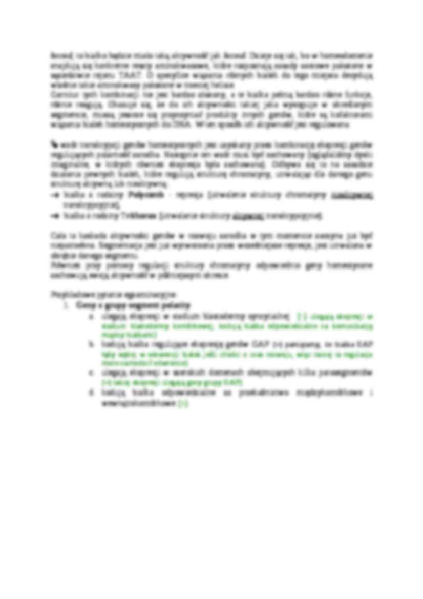 Geny homeotyczne i gastrulacja-opracowanie - strona 3