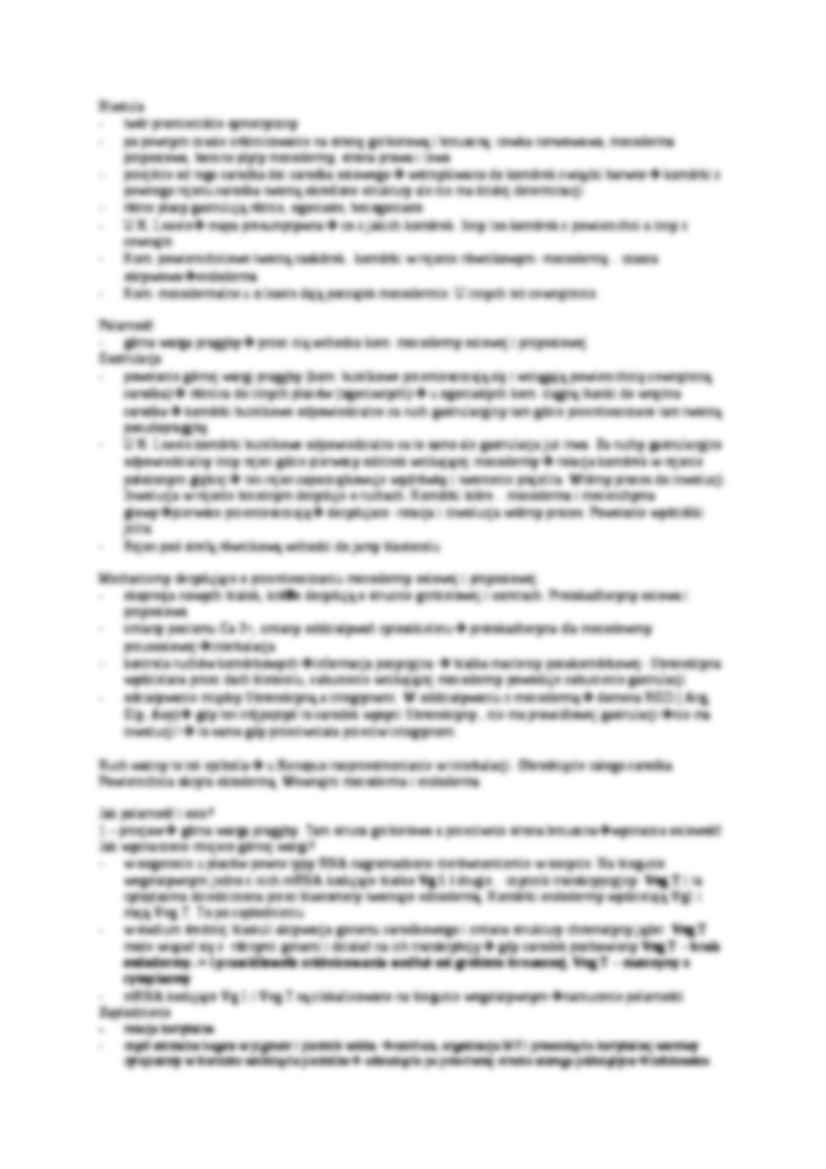 Melanogaster-opracowanie - strona 3