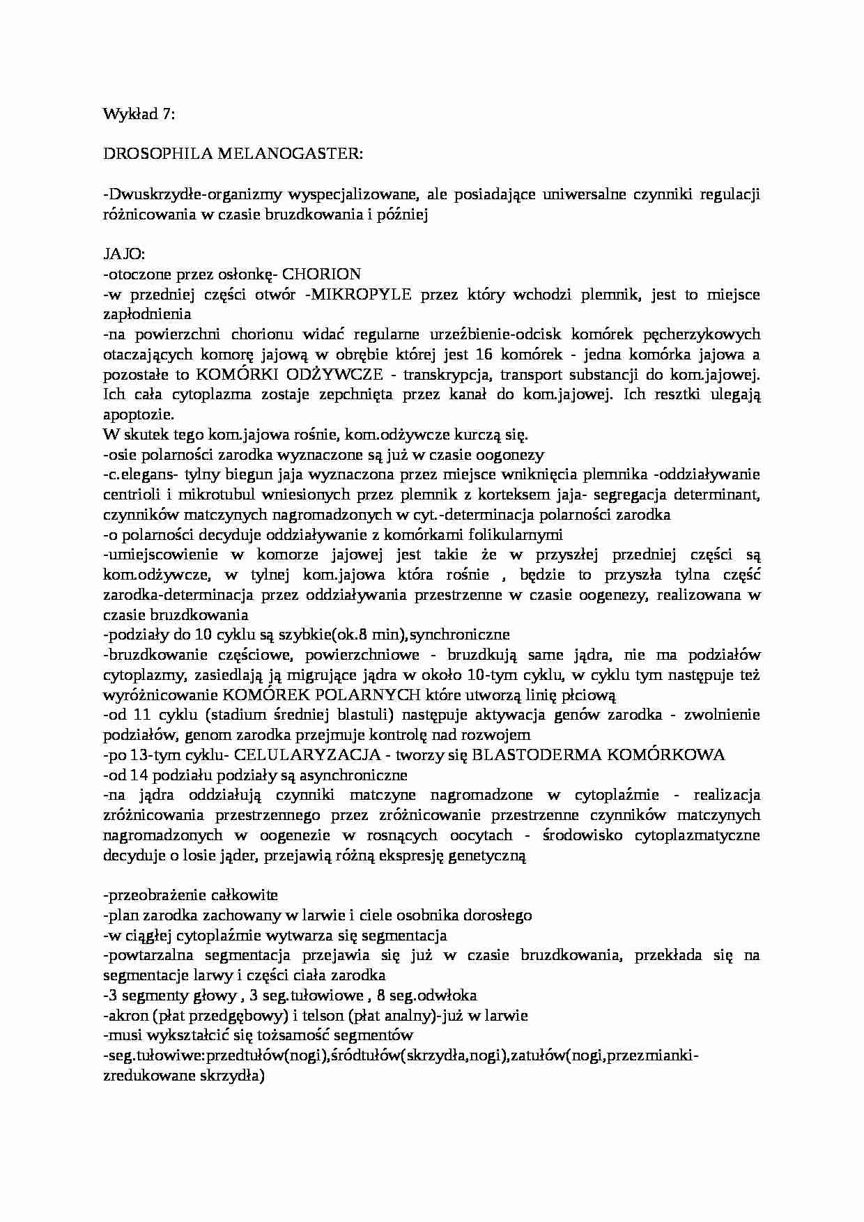 Polaryzacja u Drosophila-opracowanie - strona 1