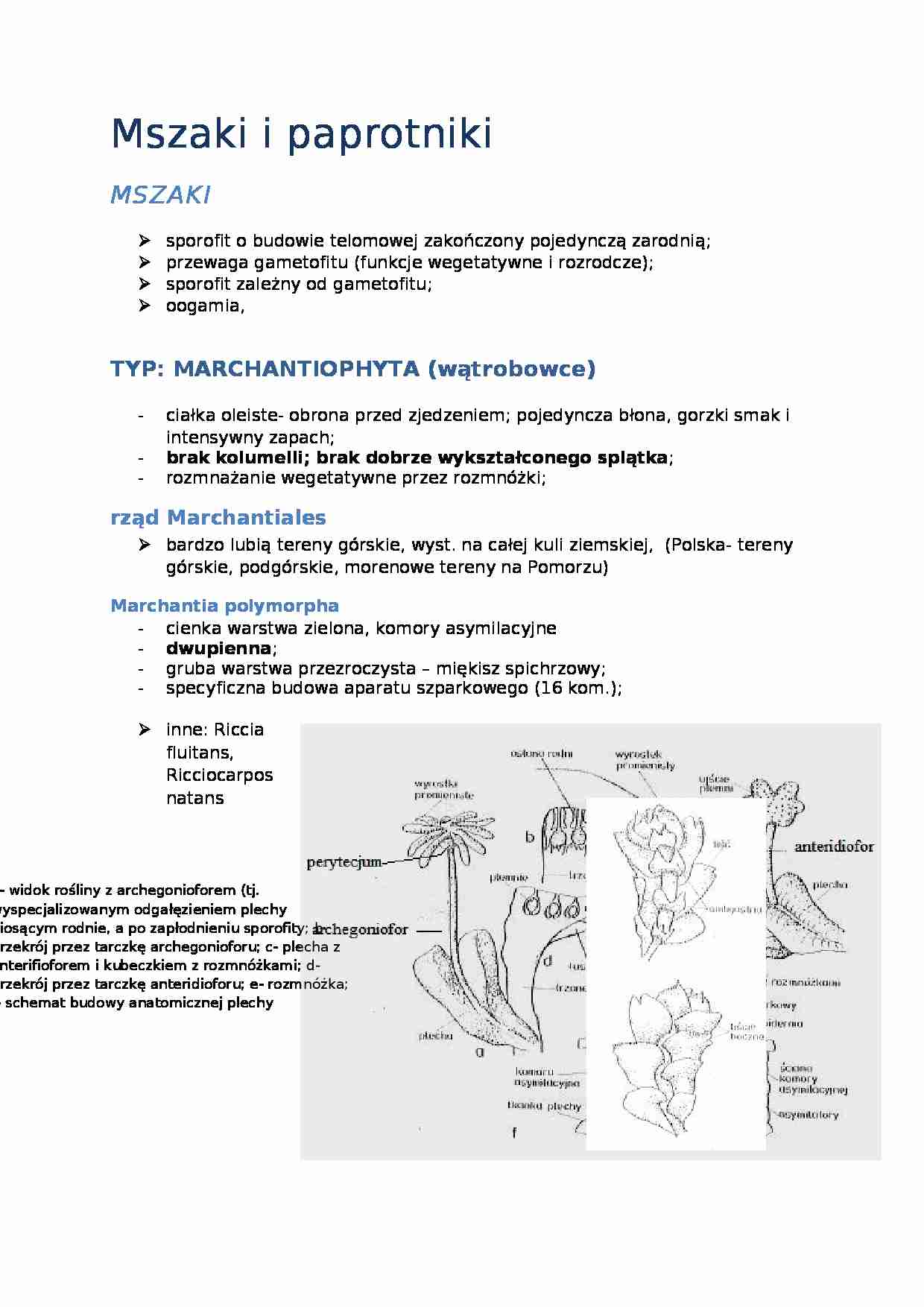 Mszaki-opracowanie - strona 1