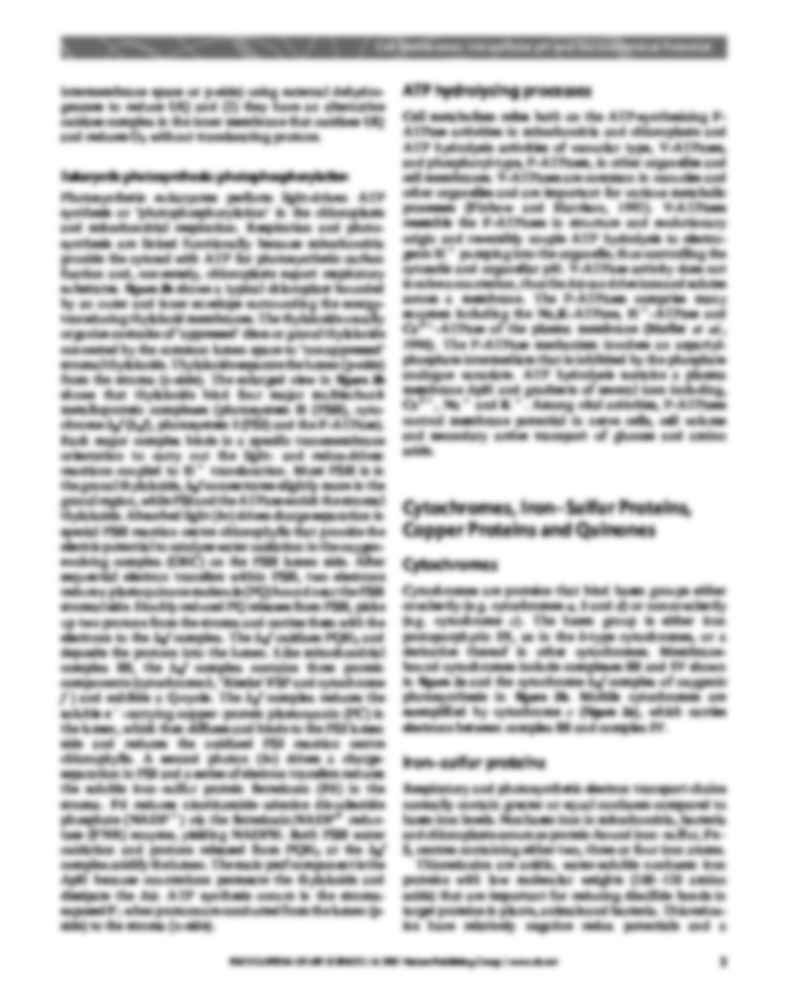 Cell membranes pH and electrochem potential-opracowanie - strona 3