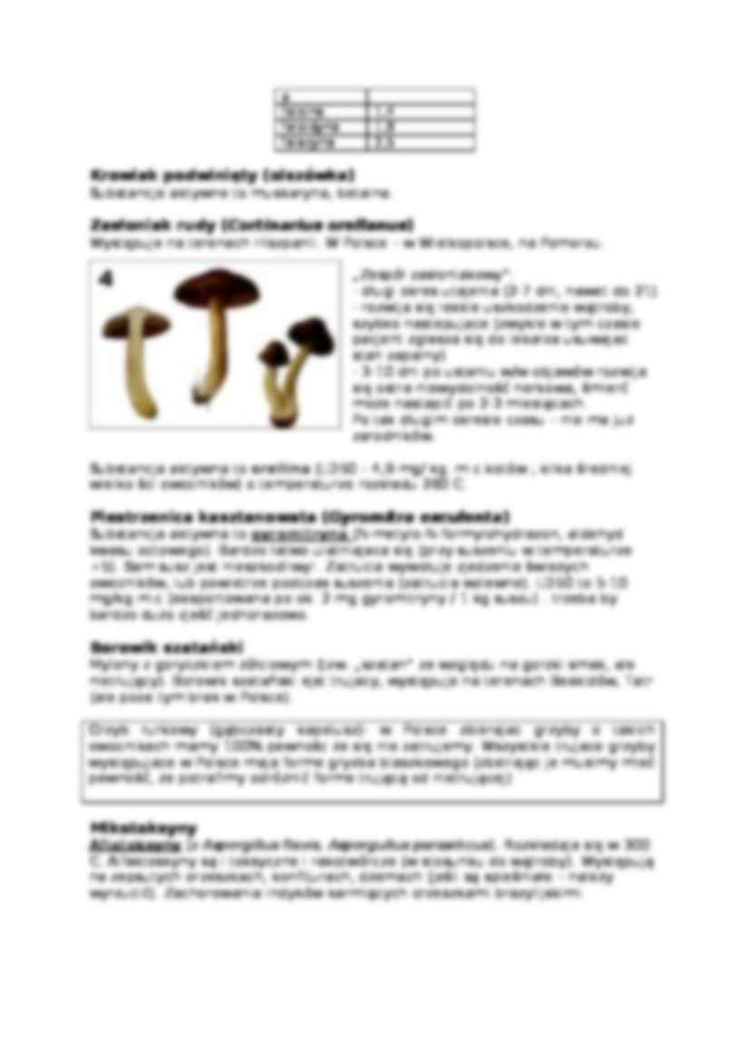 Trucizny grzybowe-opracowanie - strona 2